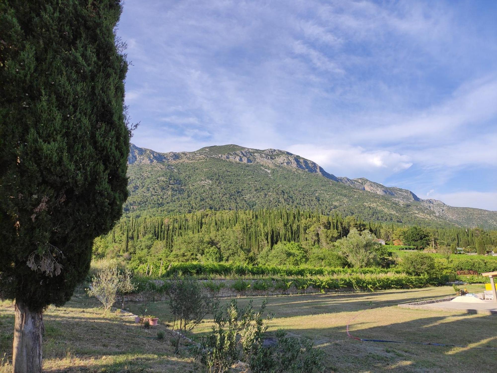 Country House Uros In Nature With Pool Lovorno Exteriér fotografie